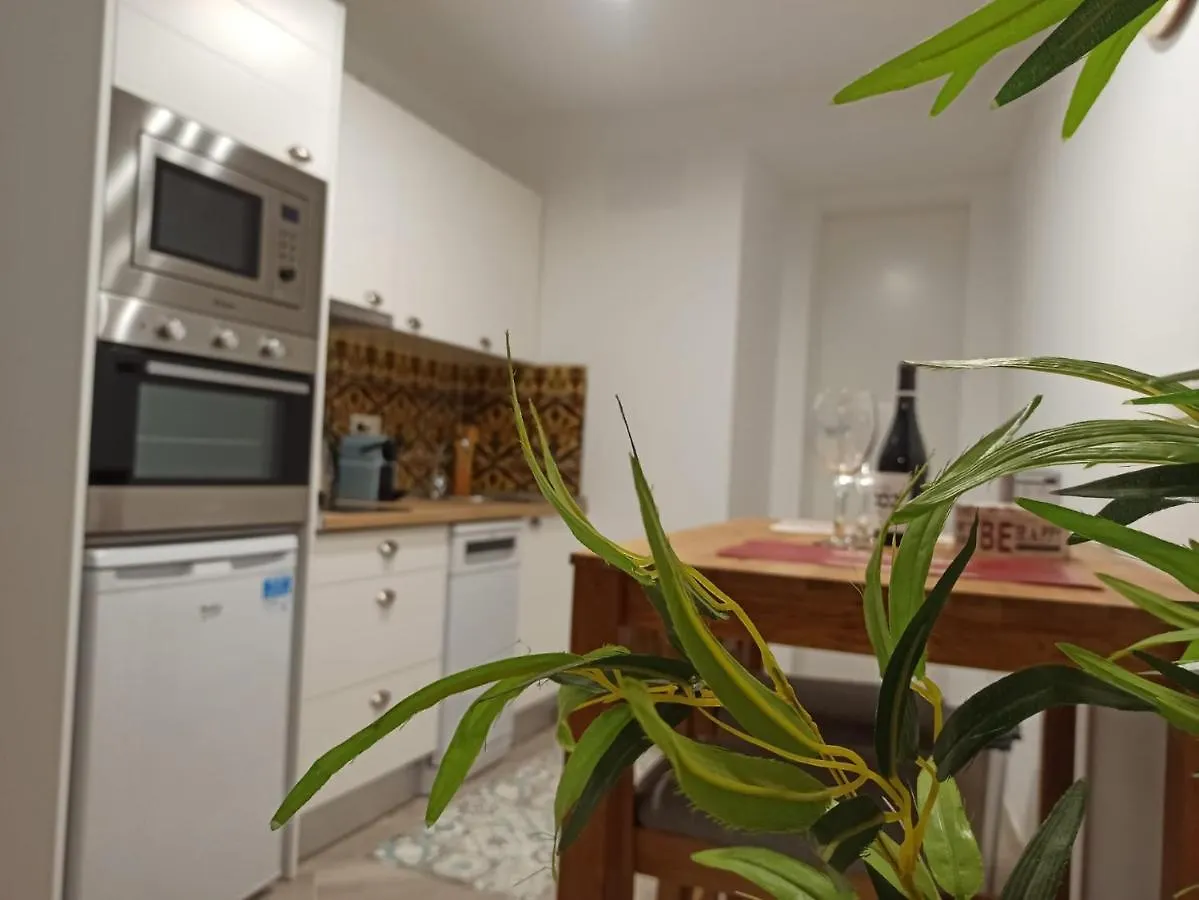 Apartment Malasana 51, New Art Apartment, Breakfast Included, Historic Center, Quite Neighborhood, Ml Malaga